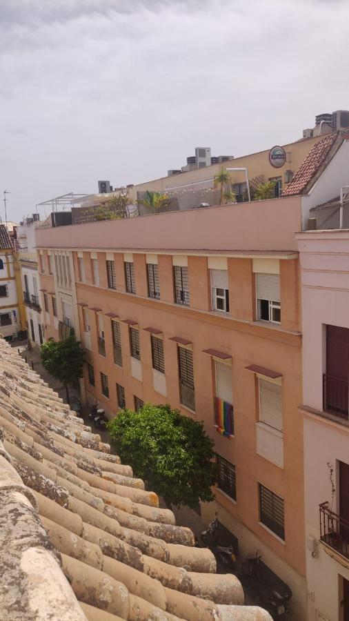 Beautiful Apartment With Terrace San Basilio إشبيلية المظهر الخارجي الصورة